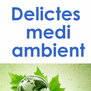 Delictes contra el medi ambient (1a edició 2023)
